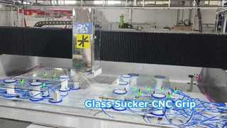 sucker γυαλιού